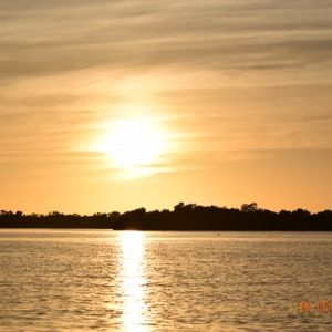 Meet your Posher, Jane